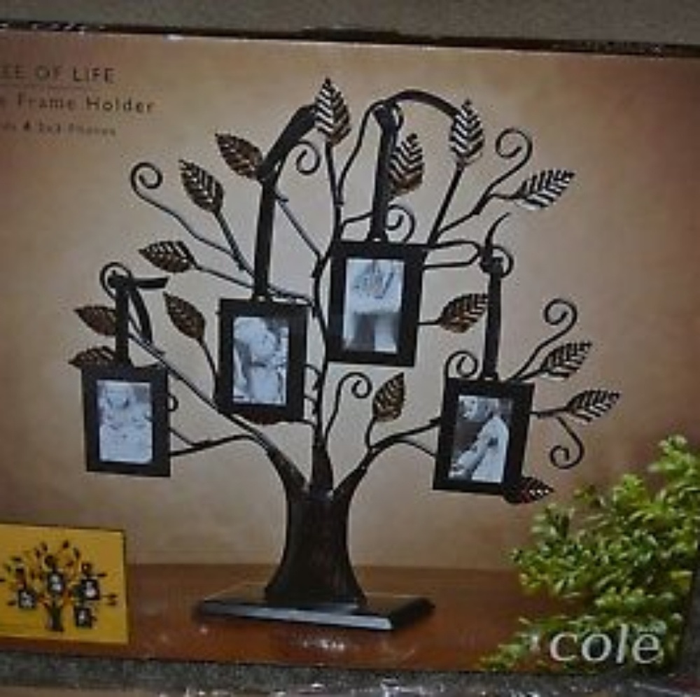NWOT Cole Street  Tree of Life Picture  Frame